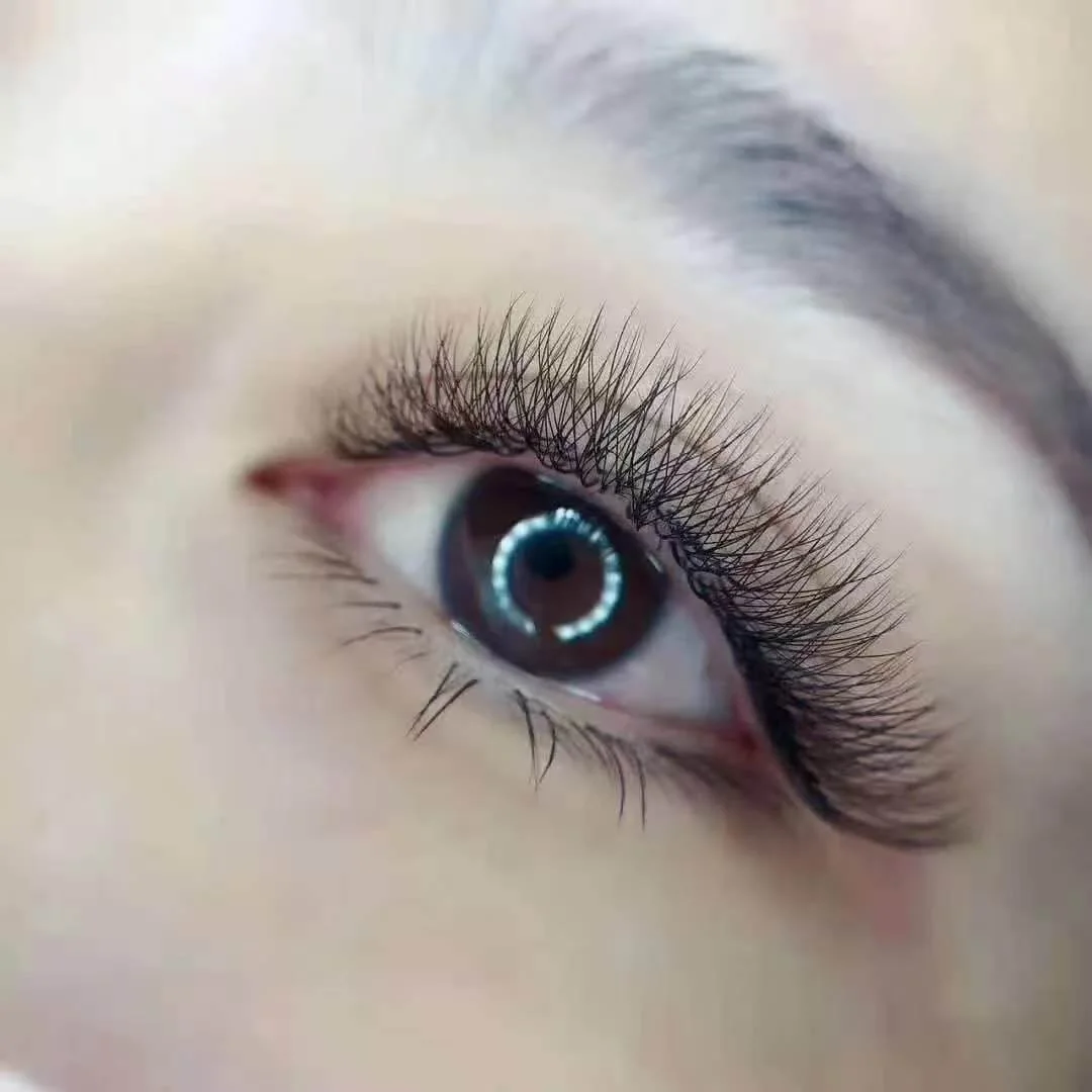 Close-up of eyelash treatment result supplied by the salon